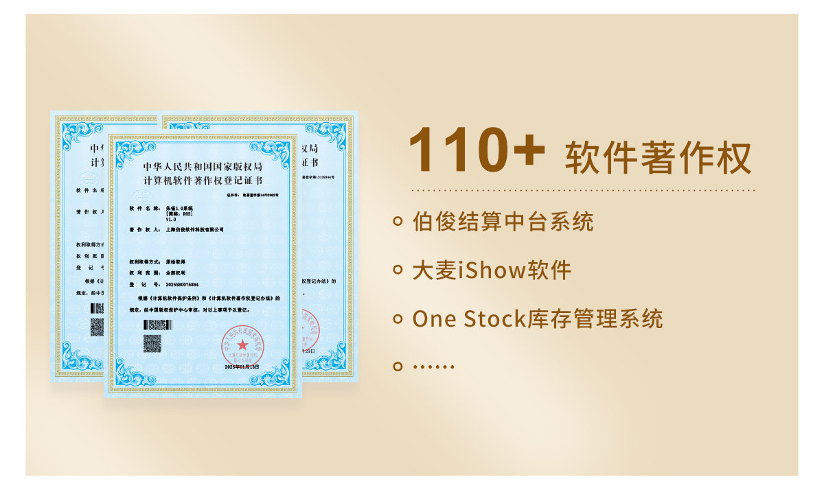 110+软件著述权